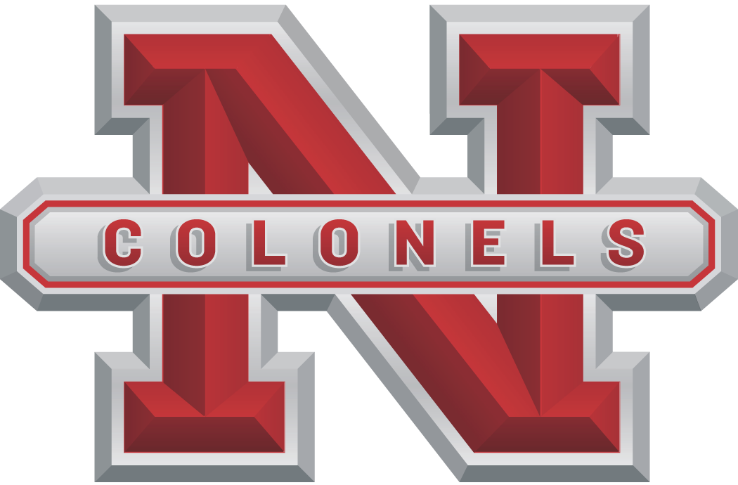 Nicholls State Colonels 2005-2008 Alternate Logo iron on transfers for fabric